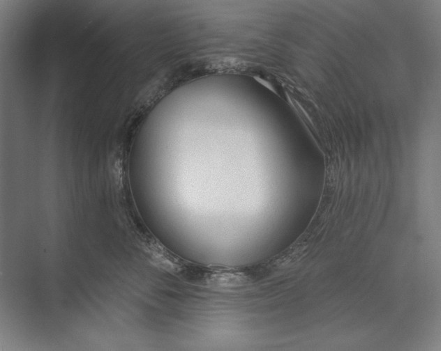 X0000074940716200609221705