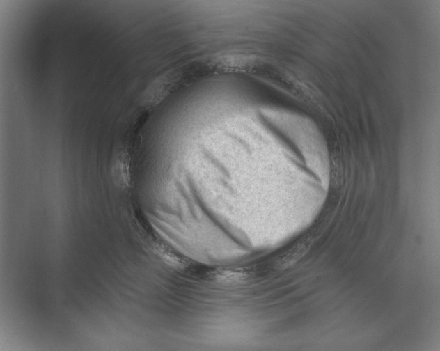 X0000074940718200609221705