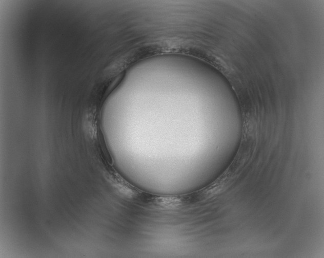 X0000074940719200609221705