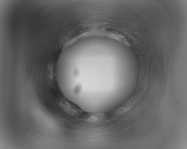 X0000074940720200609221705