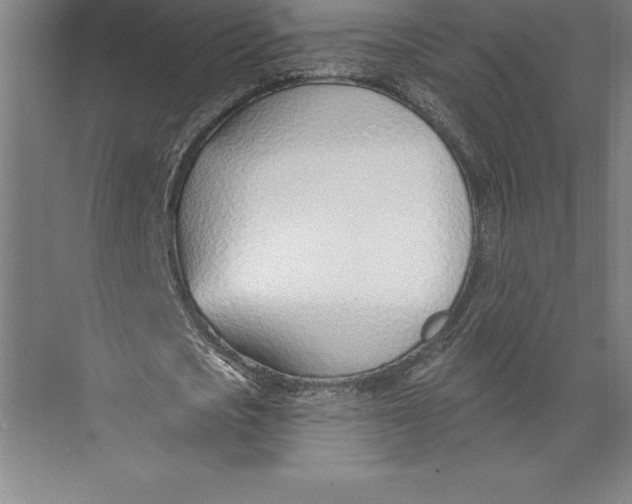 X0000074940721200609221704