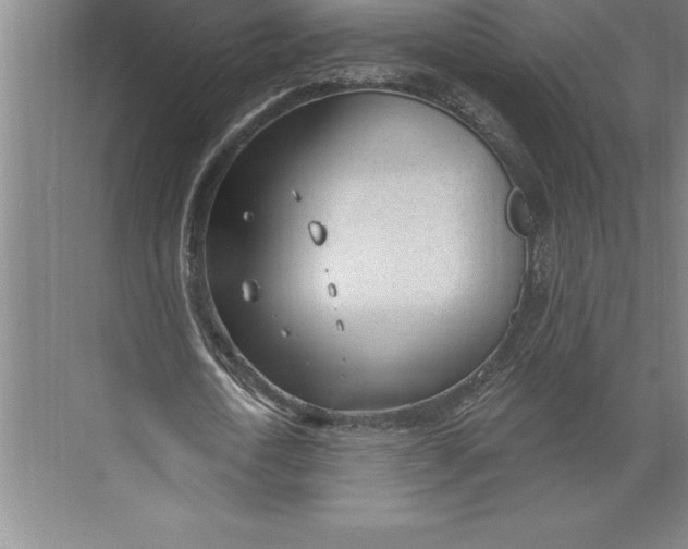 X0000074940722200609221704