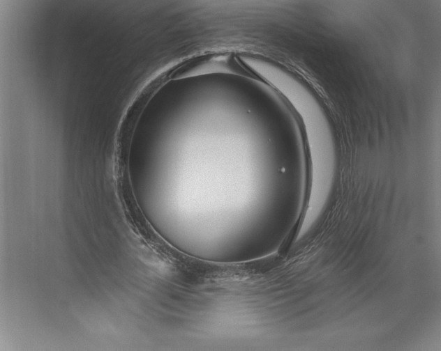 X0000074940724200609221704