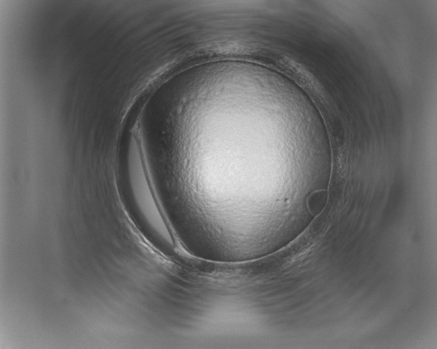 X0000074940725200609221704