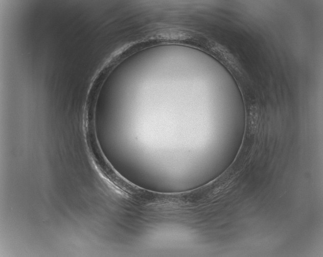 X0000074940726200609221704