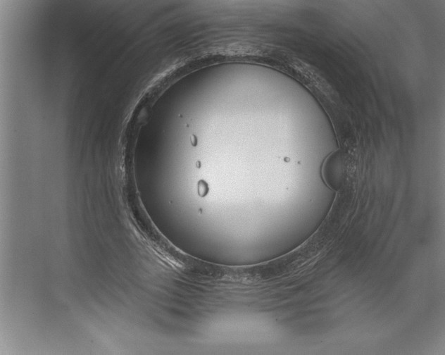 X0000074940727200609221704