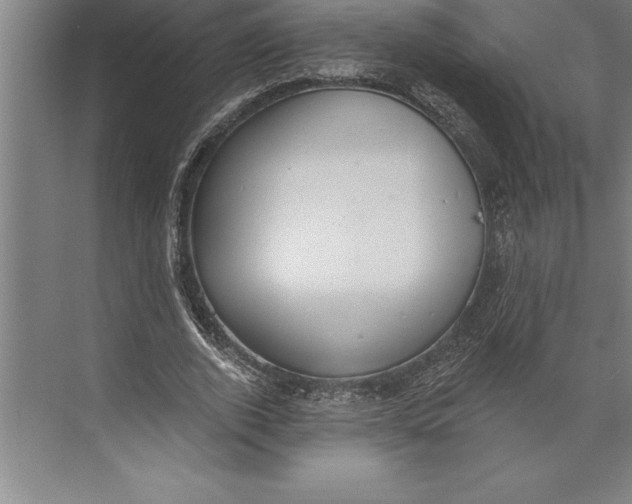 X0000074940728200609221704