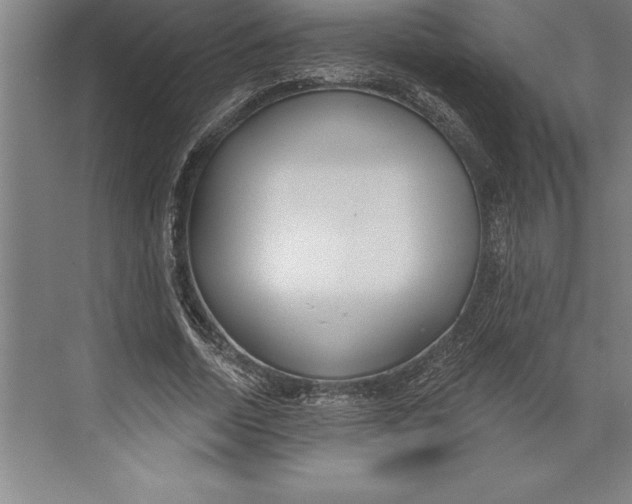 X0000074940730200609221704