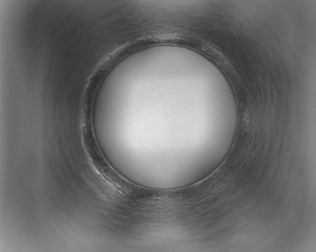 X0000074940732200609221704