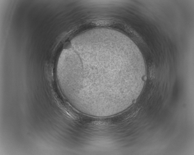 X0000074940733200609221704