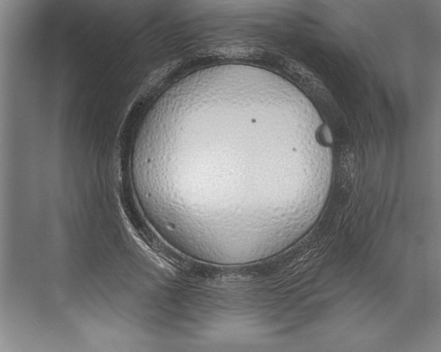 X0000074940734200609221704