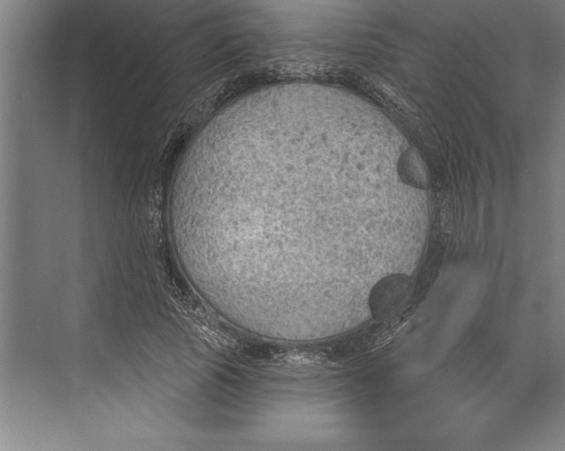 X0000074940737200609221704