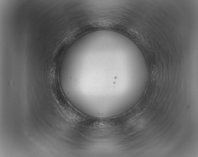 X0000074940739200609221704