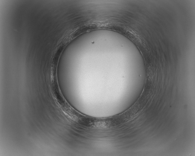 X0000074940740200609221704