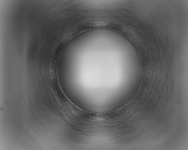 X0000074940743200609221704