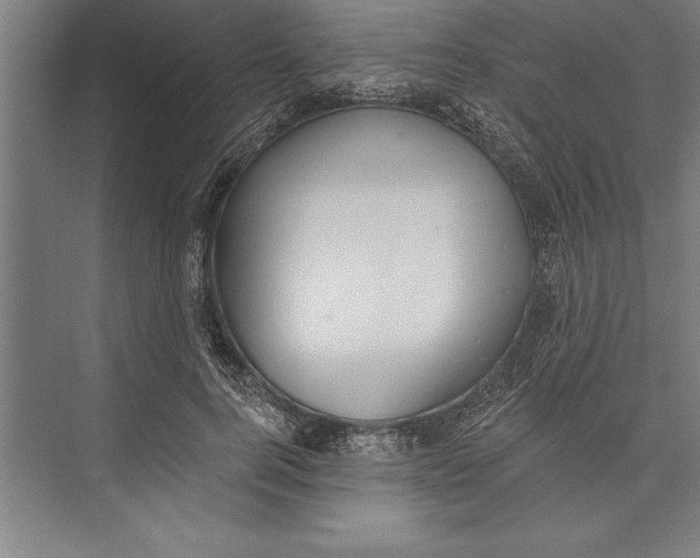 X0000074940744200609221704