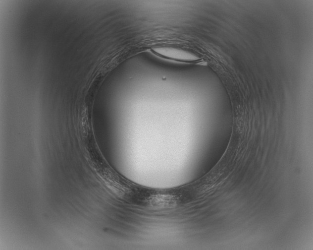 X0000074940748200609221704