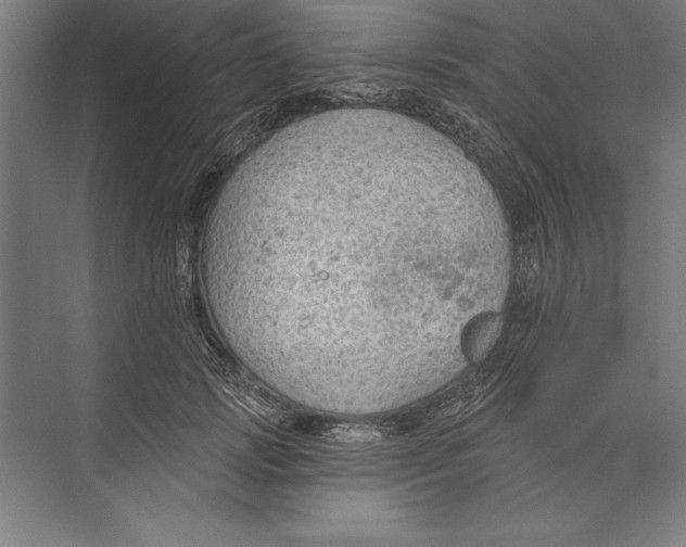 X0000074940749200609221704