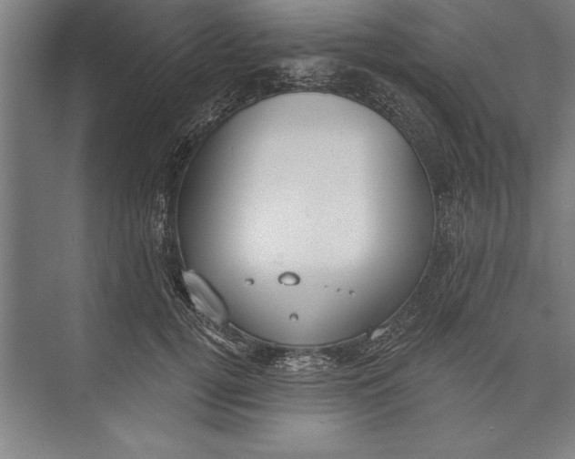 X0000074940752200609221704