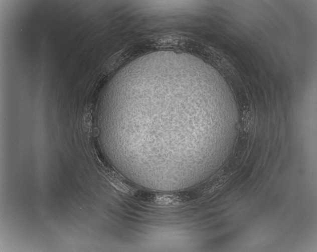 X0000074940753200609221704