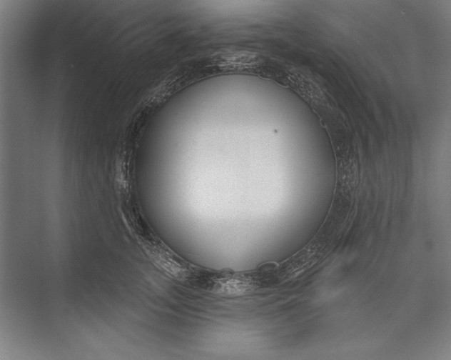 X0000074940755200609221705