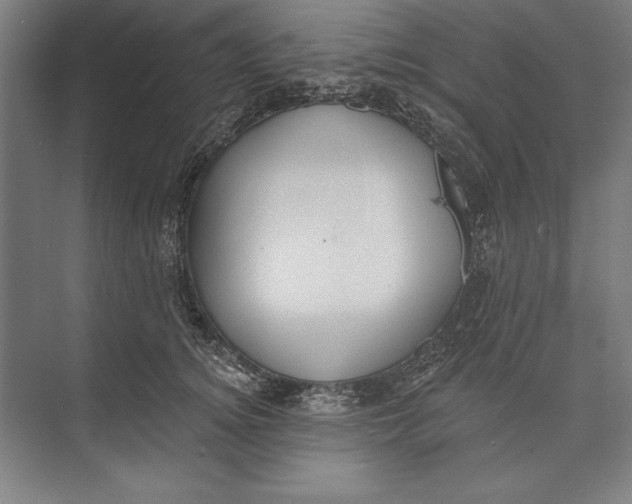 X0000074940756200609221705