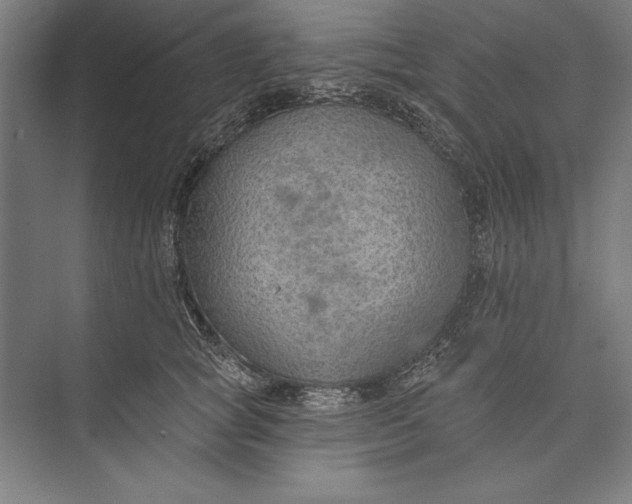 X0000074940757200609221705