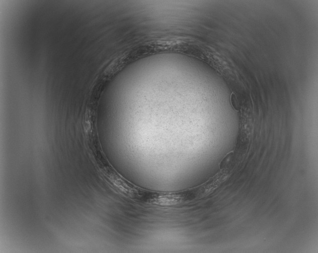 X0000074940758200609221705