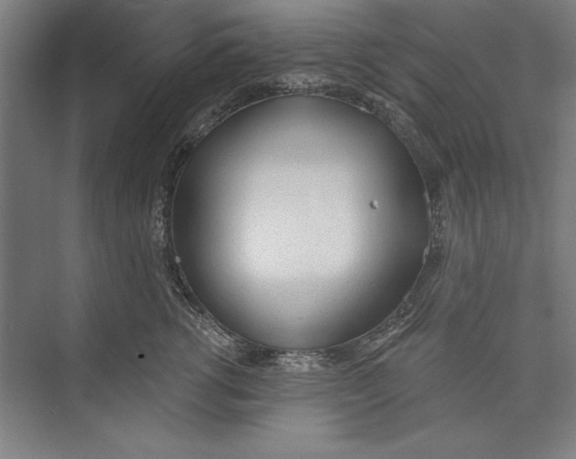 X0000074940762200609221705