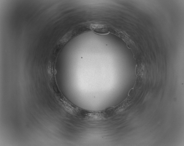 X0000074940763200609221705