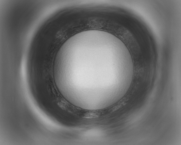 X0000074940765200609221705