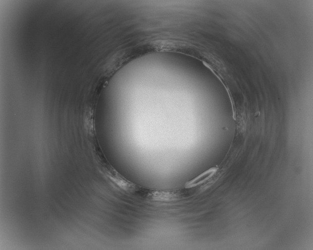 X0000074940766200609221705