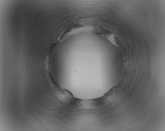 X0000074940767200609221705