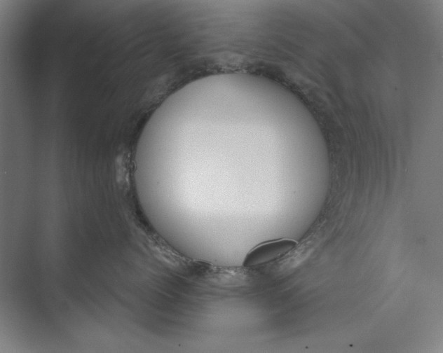 X0000074940768200609221705