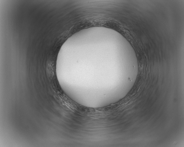 X0000074940772200609221704