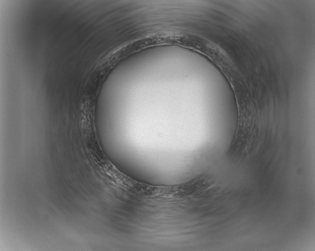 X0000074940773200609221704