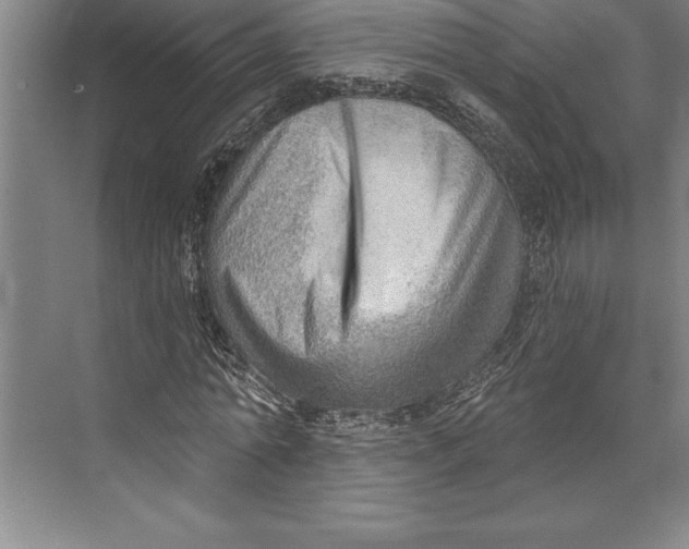 X0000074940774200609221704