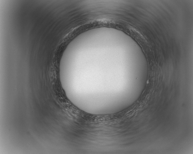 X0000074940776200609221704