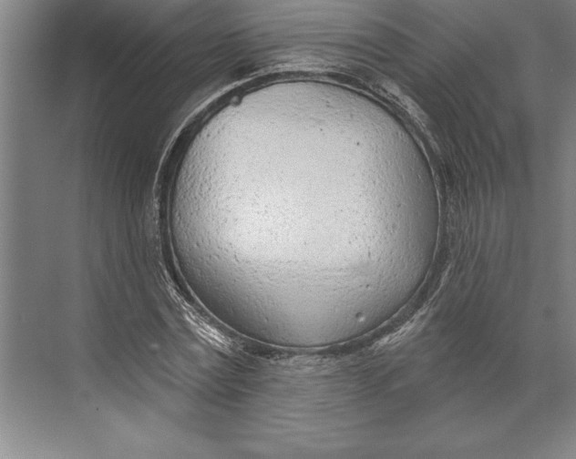 X0000074940779200609221704