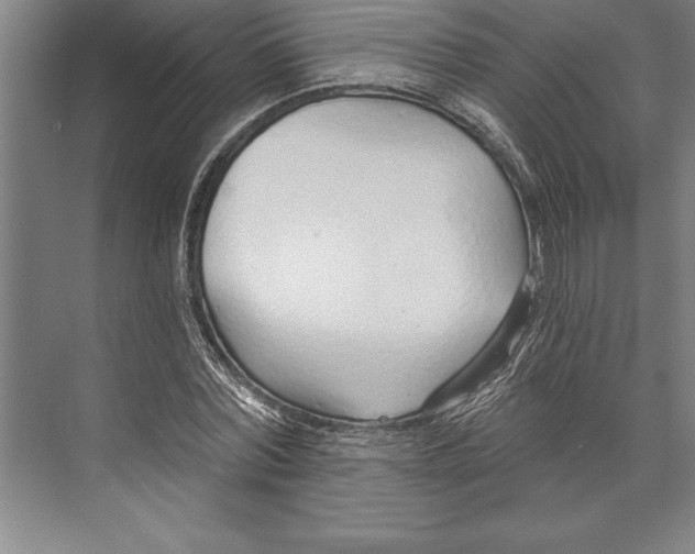 X0000074940780200609221704