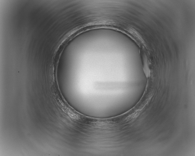 X0000074940781200609221704