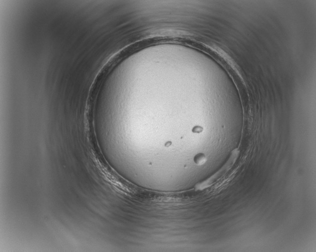 X0000074940783200609221704