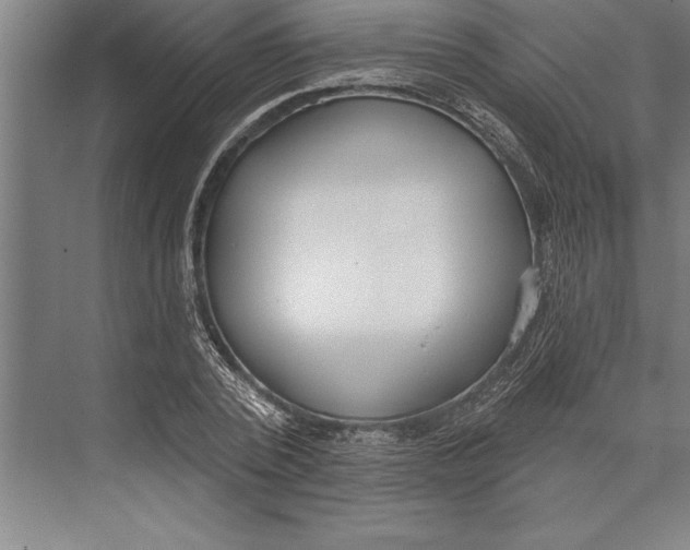 X0000074940784200609221704