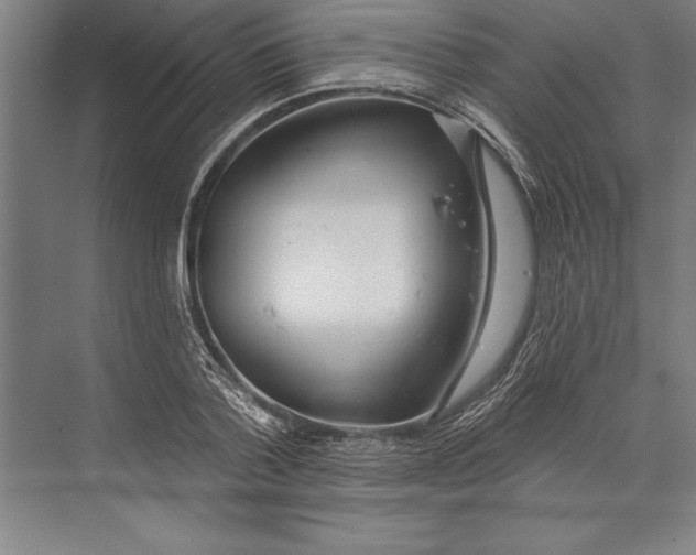 X0000074940788200609221704