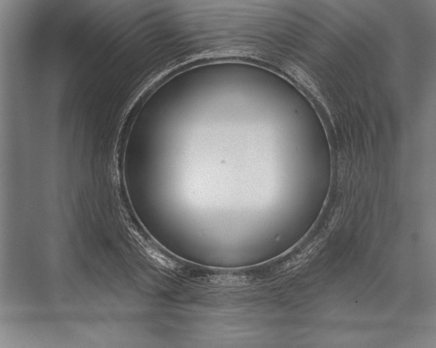 X0000074940789200609221704