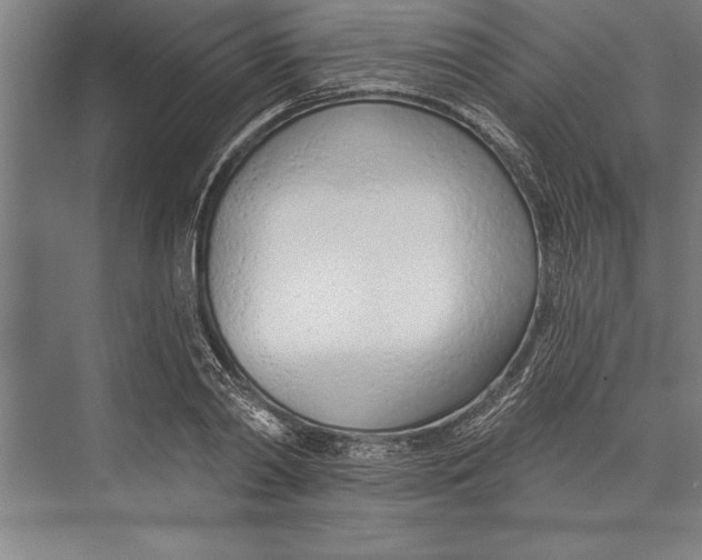 X0000074940790200609221704