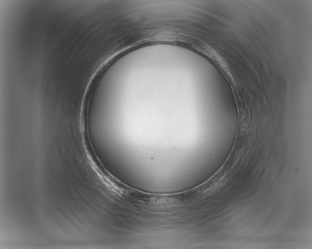 X0000074940795200609221703