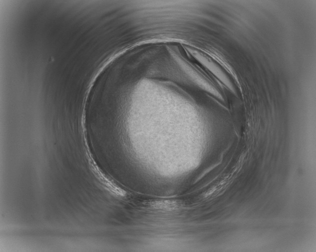 X0000074940797200609221703