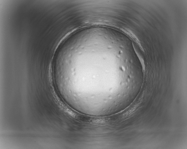 X0000074940798200609221703