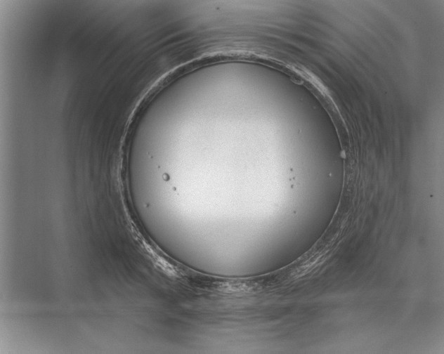 X0000074940799200609221703